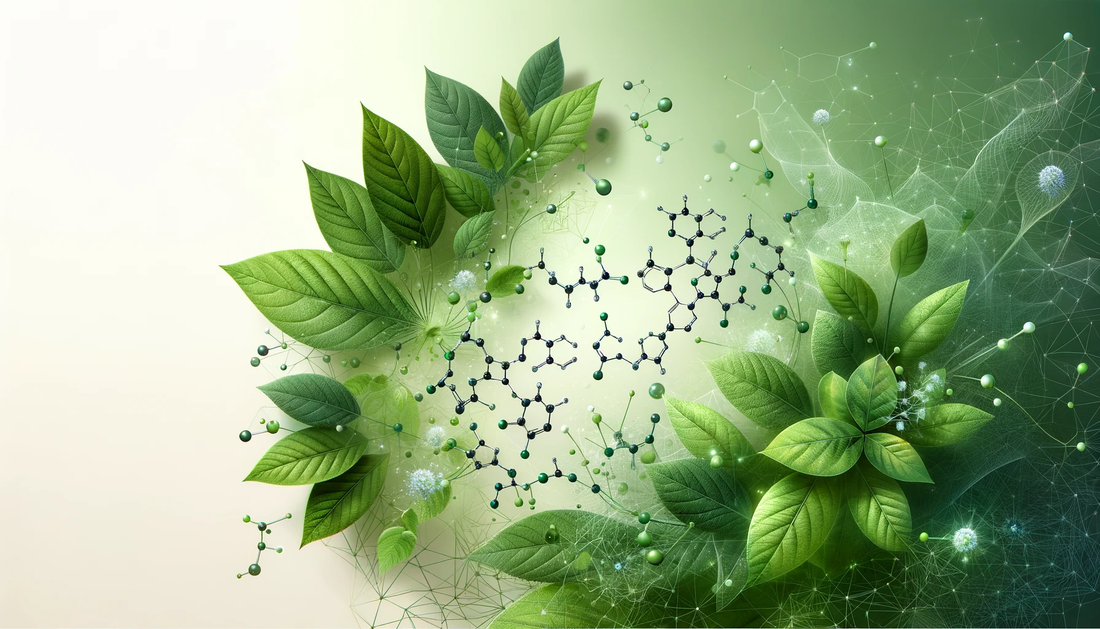 blend of nature and science in skincare