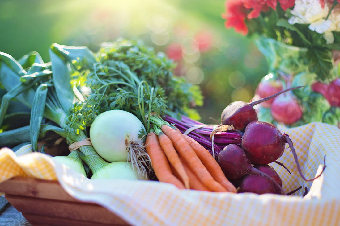 Role of Nutrition in Your Surgical Recovery