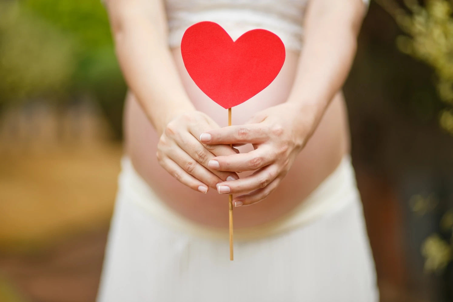 Pregnant woman holding a paper heart 
